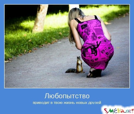Любопытство - приводит в твою жизнь новых друзей