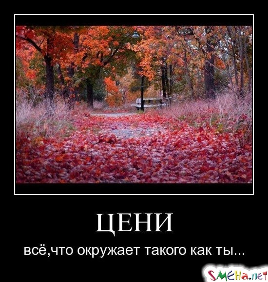 ЦЕНИ - всё,что окружает такого как ты...