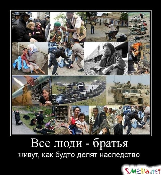 Все люди - братья - живут, как будто делят наследство