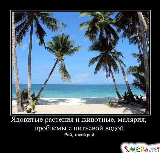 Ядовитые растения и животные, малярия, проблемы с питьевой водой. - Рай, такой рай