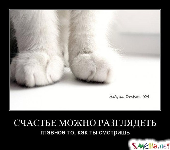 СЧАСТЬЕ МОЖНО РАЗГЛЯДЕТЬ - главное то, как ты смотришь
