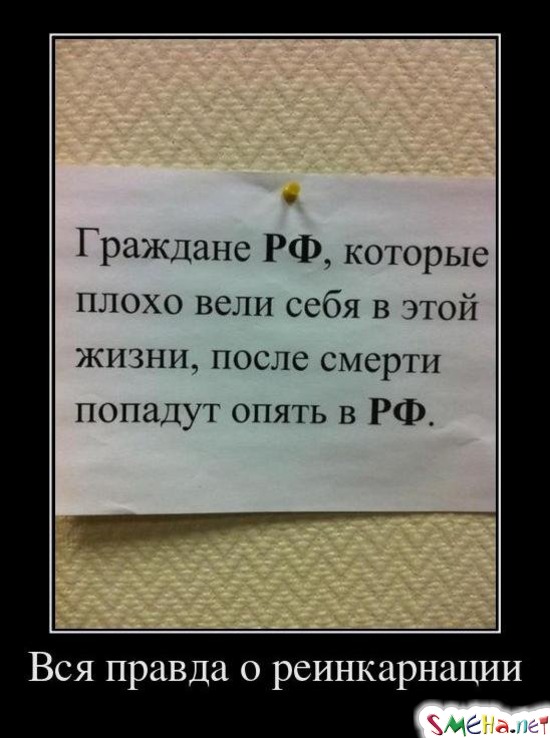Вся правда о ре инкарнации