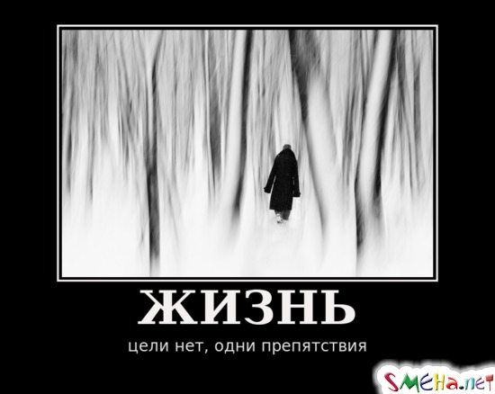 ЖИЗНЬ - цели нет, одни препятствия