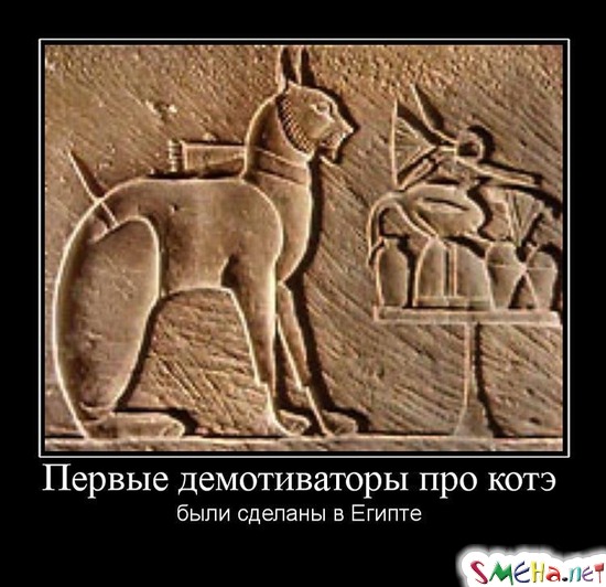 Первые демотиваторы про котэ - были сделаны в Египте