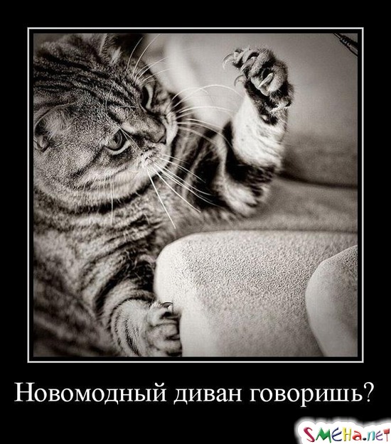 Новомодный диван говоришь?