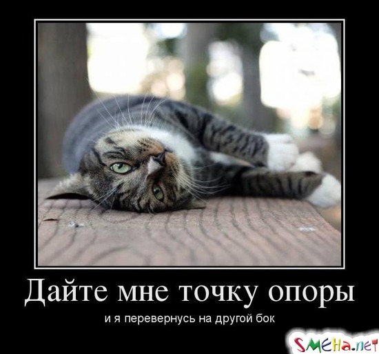 Дайте мне точку опоры и я перевернусь на другой бок