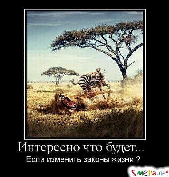 Интересно что будет... - Если изменить законы жизни?