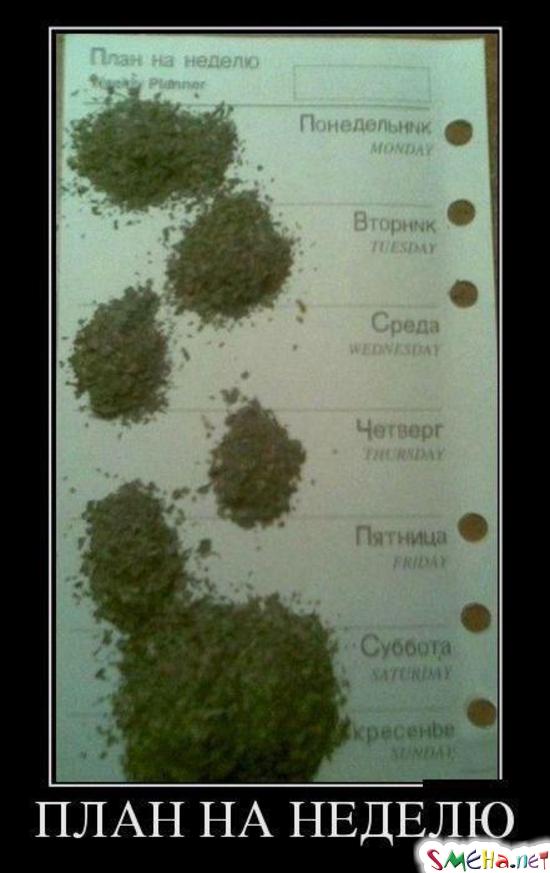 План на неделю