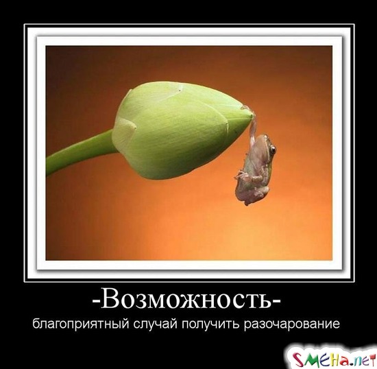 Возможность - благоприятный случай получить разочарование