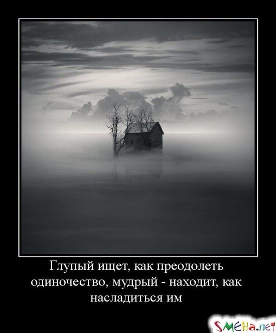 Глупый ищет, как преодолеть одиночество, мудрый - находит, как насладиться им