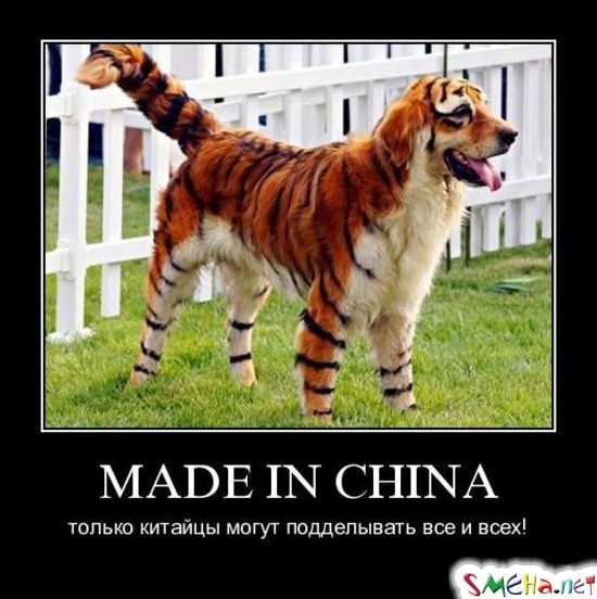 MADE IN CHINA - только китайцы могут подделывать все и всех!