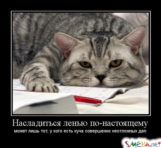 Насладиться ленью по-настоящему - может лишь тот, у кого есть куча совершенно неотложных дел