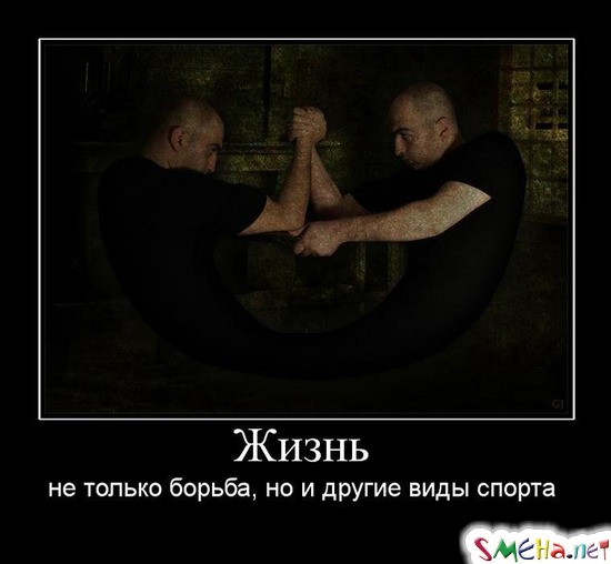 Жизнь - не только борьба, но и другие виды спорта