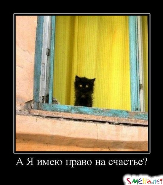 А Я имею право на счастье?