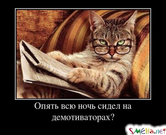 Опять всю ночь сидел на демотиваторах?