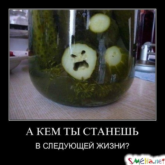 А КЕМ ТЫ СТАНЕШЬ - В СЛЕДУЮЩЕЙ ЖИЗНИ?