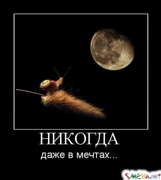 НИКОГДА - даже в мечтах...