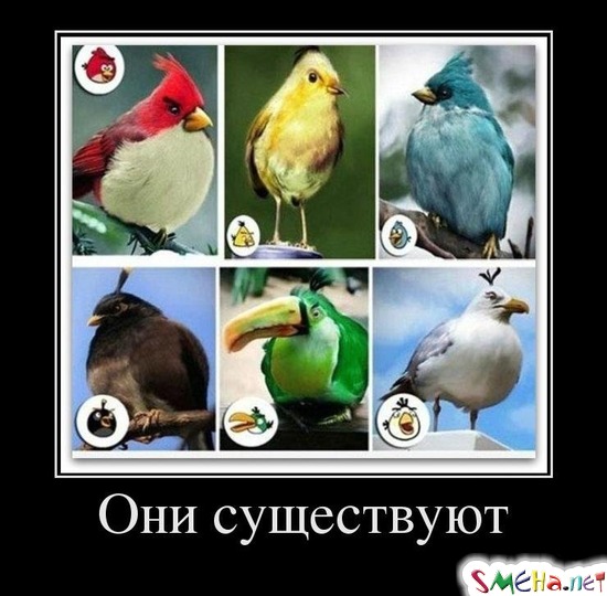 Они существуют
