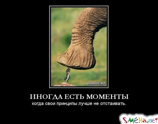 ИНОГДА ЕСТЬ МОМЕНТЫ - когда свои принципы лучше не отстаивать