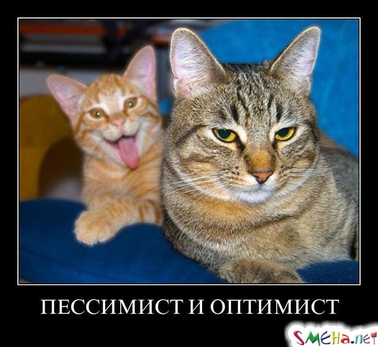 ПЕССИМИСТ И ОПТИМИСТ
