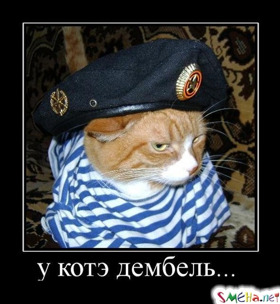 у котэ дембель...
