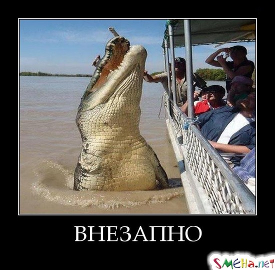 ВНЕЗАПНО