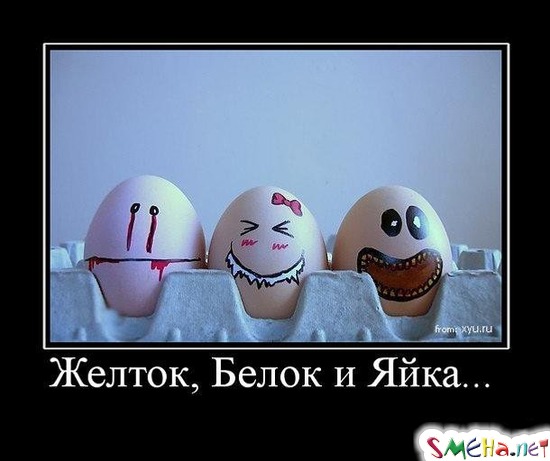 Желток, Белок и Яйка...