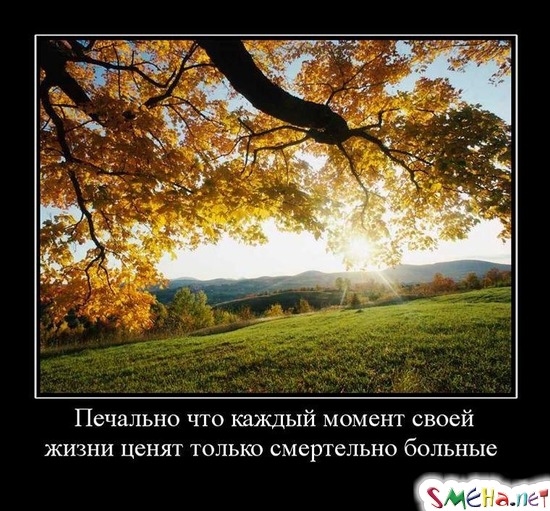 Печально что каждый момент своей жизни ценят только смертельно больные