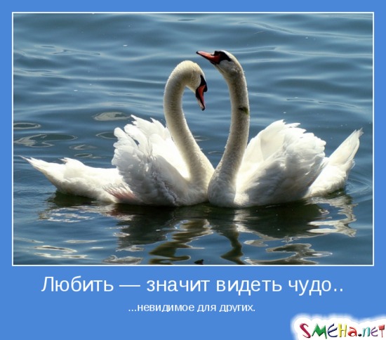 Любить — значит видеть чудо - ...невидимое для других