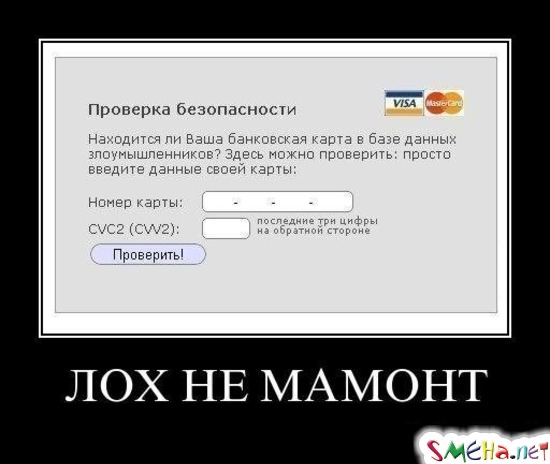 ЛОХ НЕ МАМОНТ