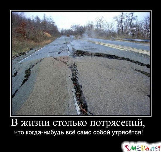 В жизни столько потрясений, - что когда-нибудь всё само собой утрясётся!