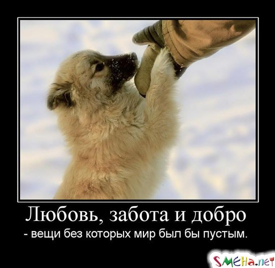 Любовь, забота и добро - вещи без которых мир был бы пустым.