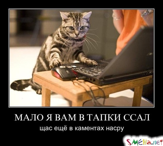 МАЛО Я ВАМ В ТАПКИ ССАЛ - щас ещё в каментах насру