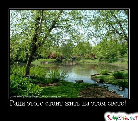 Ради этого стоит жить на этом свете!