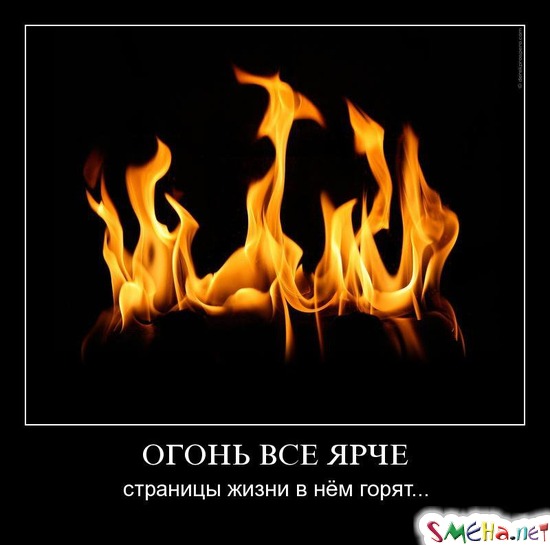ОГОНЬ ВСЕ ЯРЧЕ - страницы жизни в нём горят...
