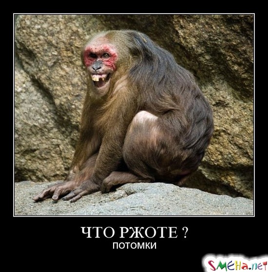 ЧТО РЖОТЕ ? - потомки