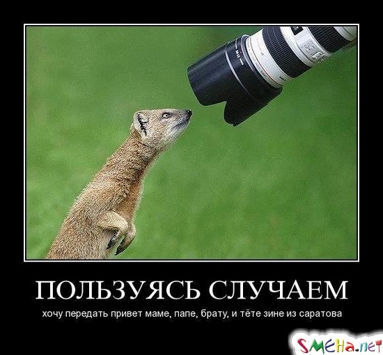 ПОЛЬЗУЯСЬ СЛУЧАЕМ - хочу передать привет маме, папе, брату, и тёте зине из саратова