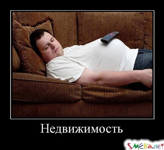 Недвижимость