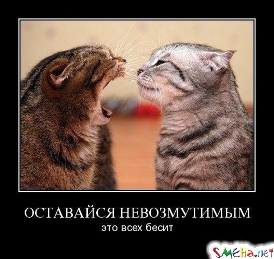 ОСТАВАЙСЯ НЕВОЗМУТИМЫМ - это всех бесит