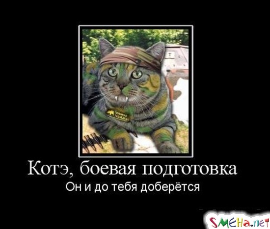 Котэ, боевая подготовка - Он и до тебя доберётся