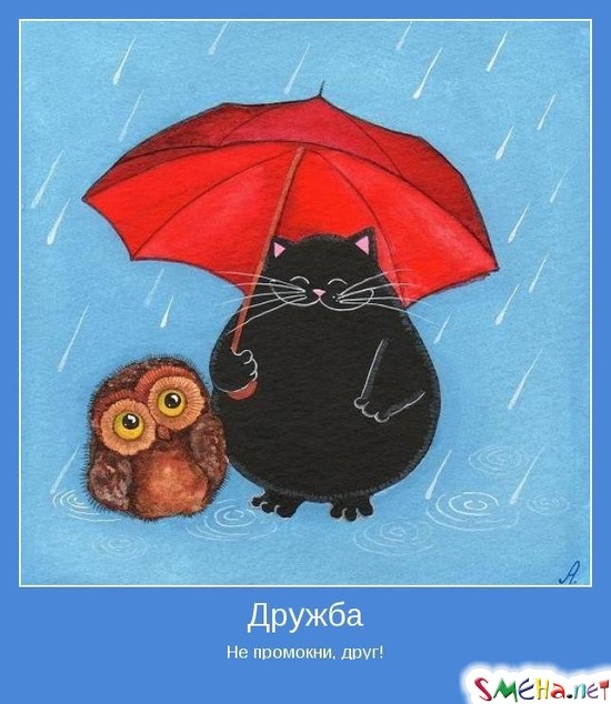 Дружба - Не промокни, друг!