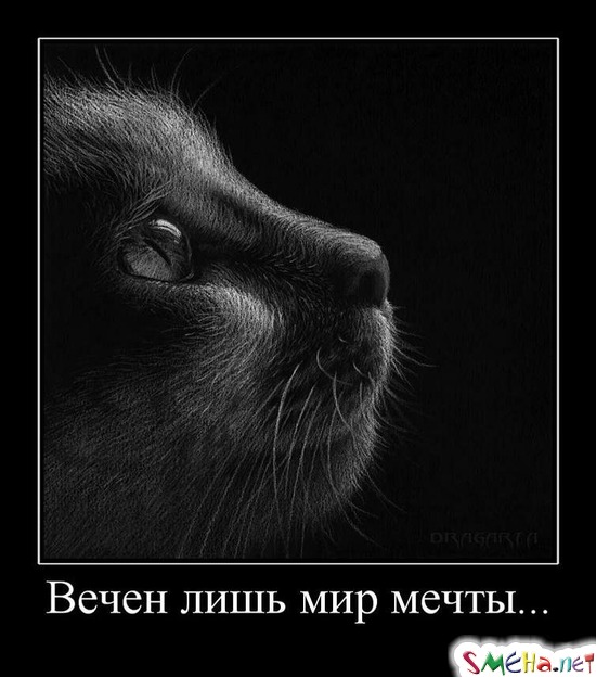 Вечен лишь мир мечты...