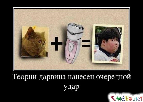 Теории Дарвина нанесен очередной удар