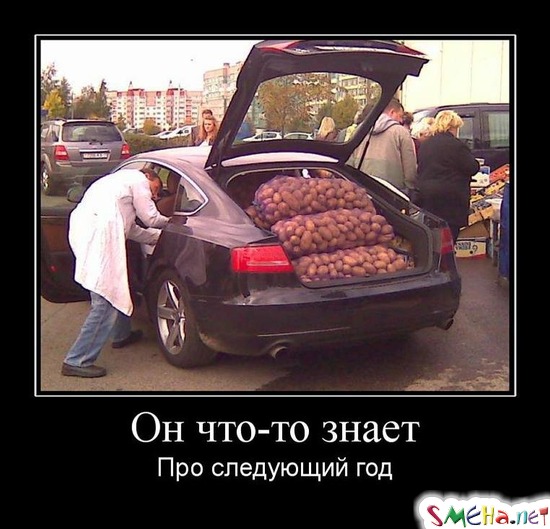 Он что-то знает - Про следующий год