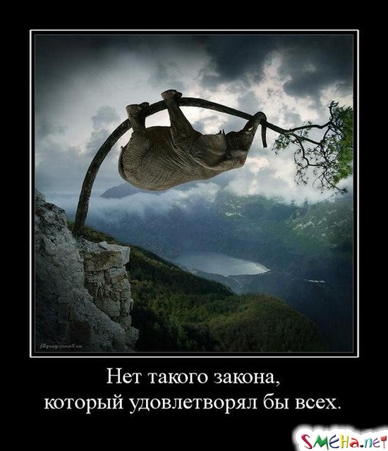 Нет такого закона, - который удовлетворял бы всех