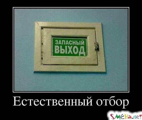 Естественный отбор