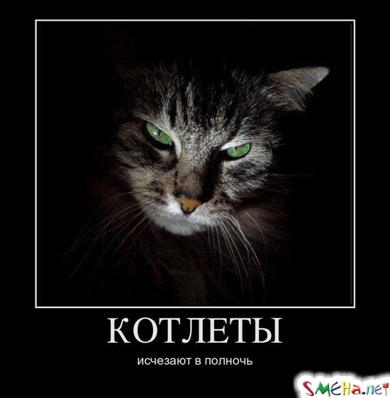 КОТЛЕТЫ - исчезают в полночь