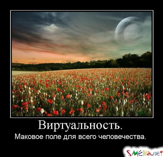 Виртуальность. - Маковое поле для всего человечества.