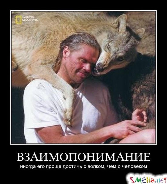 ВЗАИМОПОНИМАНИЕ - иногда его проще достичь с волком, чем с человеком
