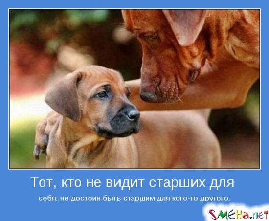 Тот, кто не видит старших для себя, не достоин быть старшим для кого-то другого